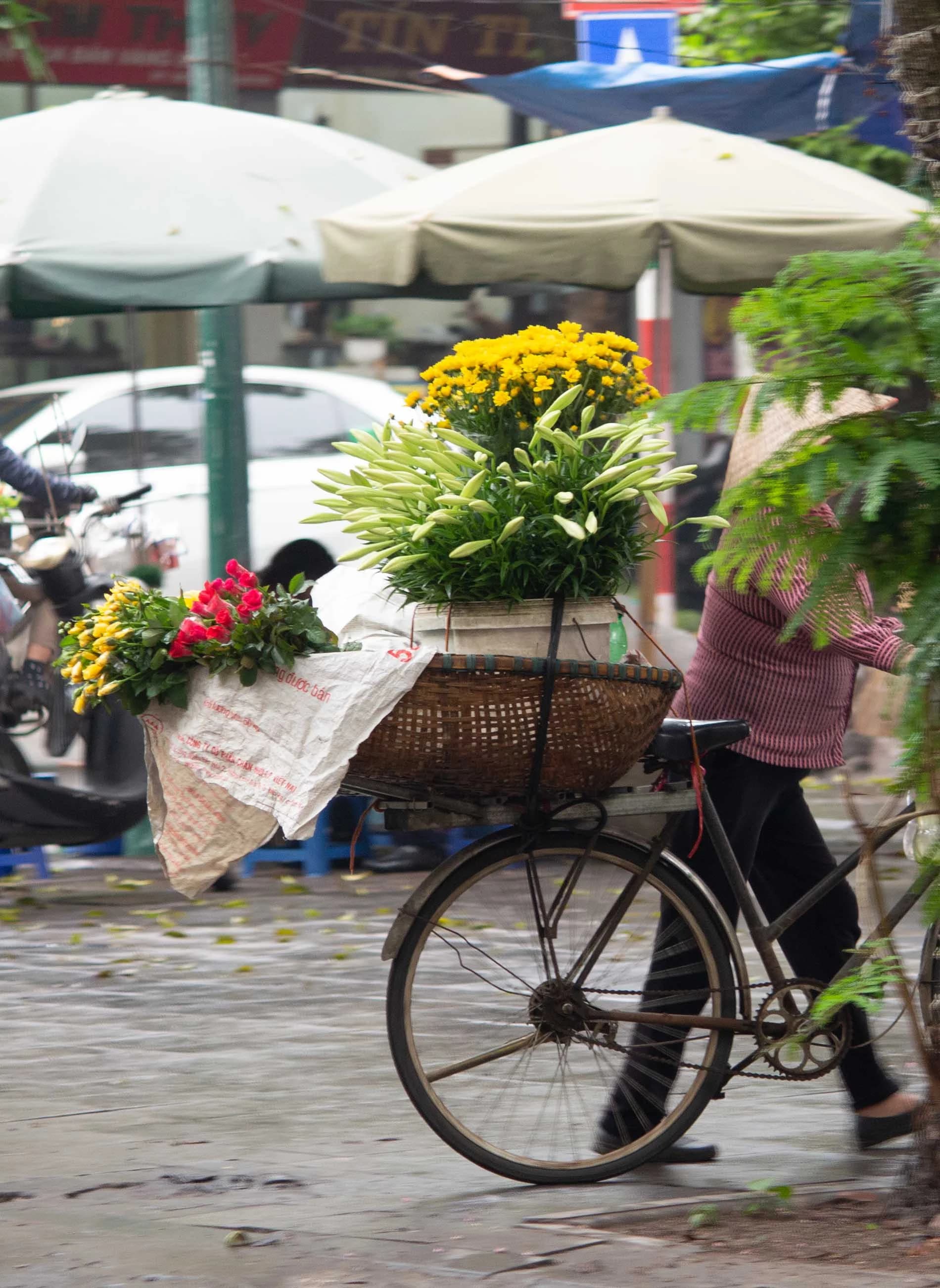 una donna ad Hanoi (Vietnam) che spinge una bicicletta, con molti fiori. Non si può vedere il volto della donna, poiché è coperto da alcune piante verdi. È però possibile notare che indossa un cappello tradizionale a cono