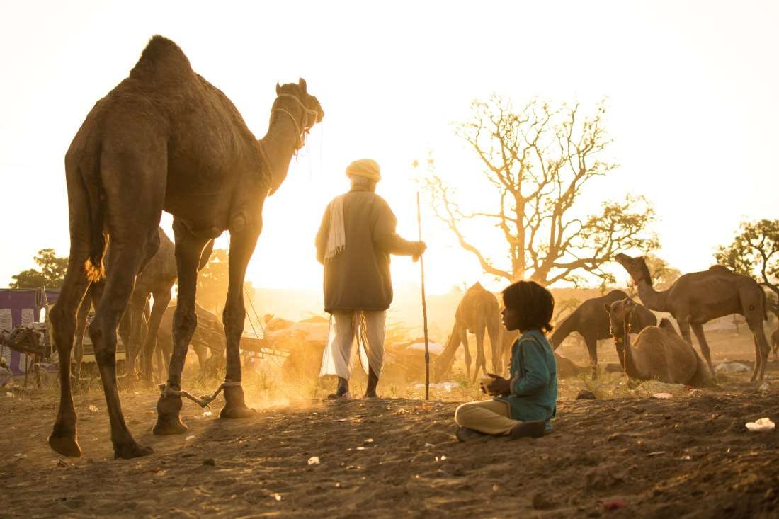 Un uomo in piedi vivino ad un cammello ed un bambino seduto. I due si trovano nel deserto in pieno giorno. (credits @jyotirmoy/Unsplash)