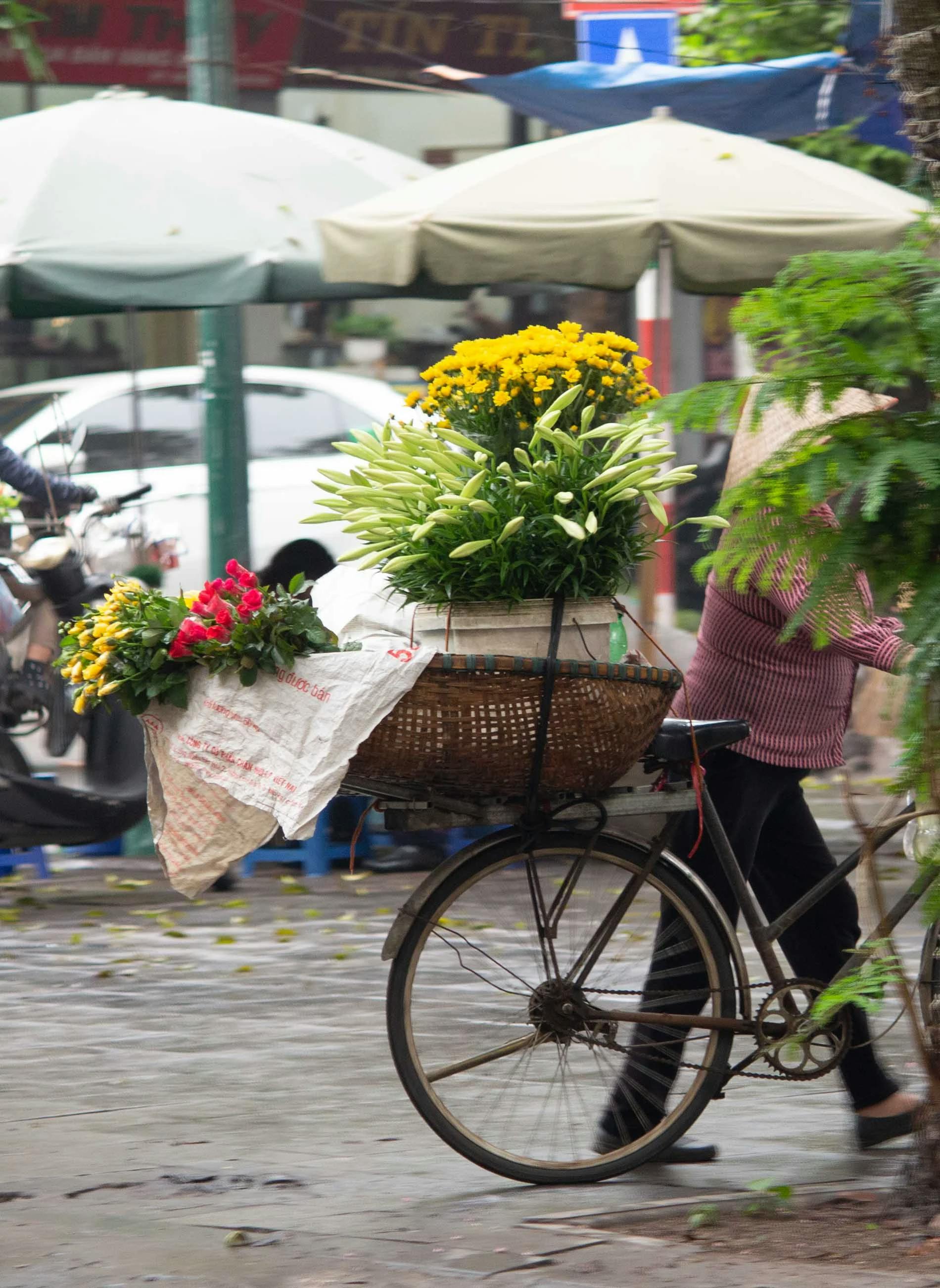 a woman in Hanoi (Vietnam) pushing a bike, with a lot of flowers. You can not see the face of the woman, as it's covered by some green plants. It is possible though to notice that she is wearing a traditional hat