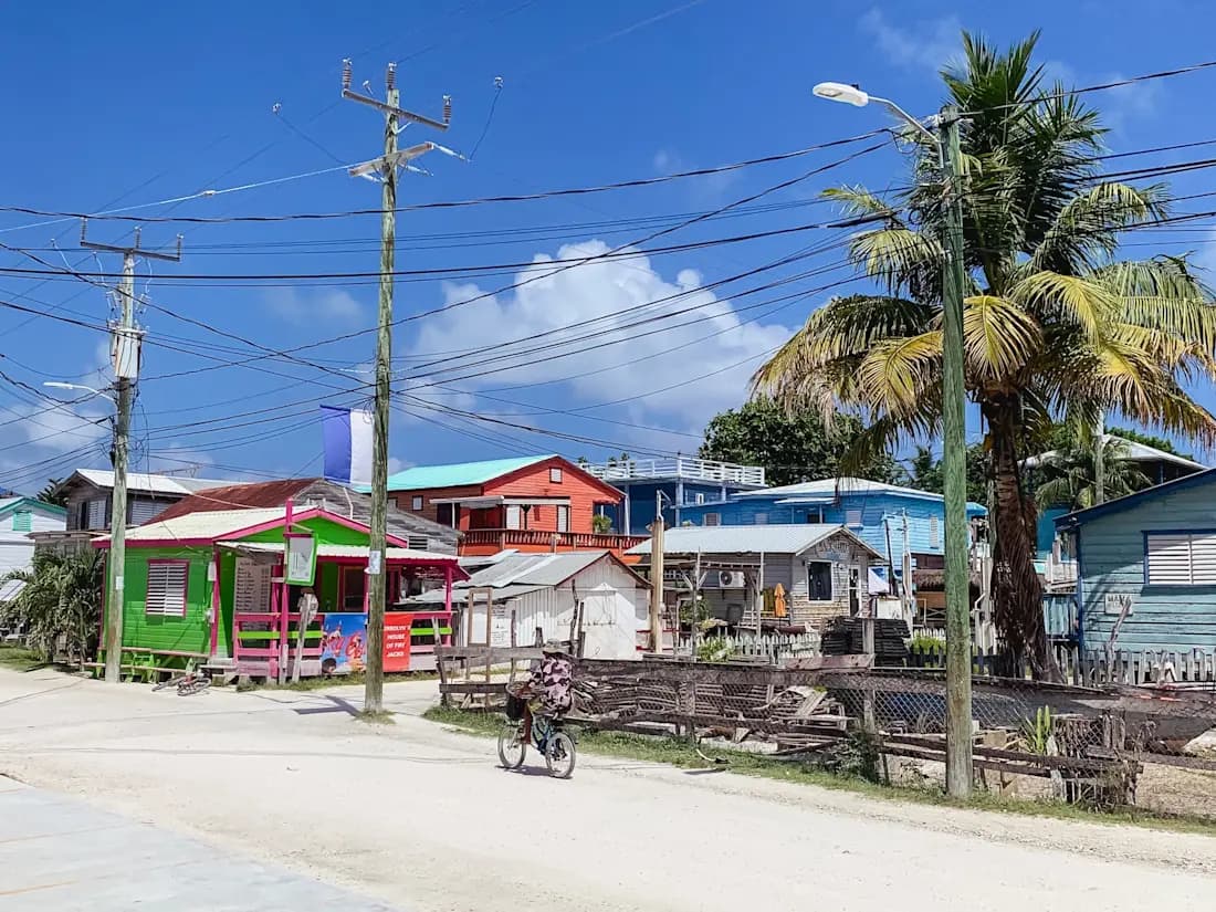 Centro di Caye Caulker con case in legno Case in legno colorate con fili del telefono e una palma