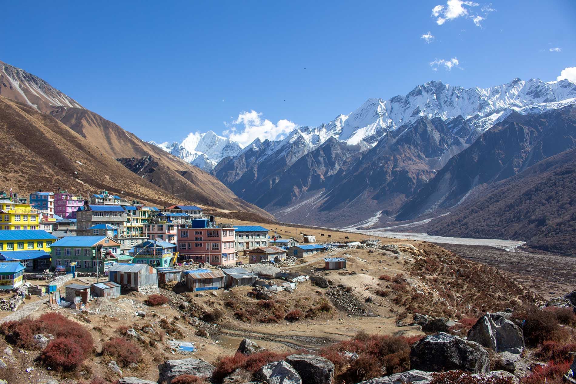 Coloured houses of Kyanjin Gumpa with snowy mountain backdrop
